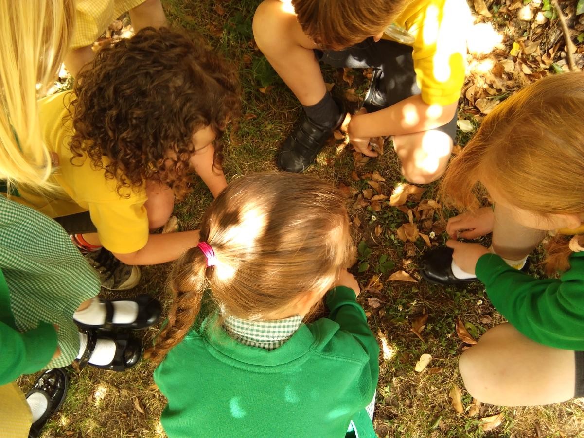 Forest School 1 Children looking at the ground